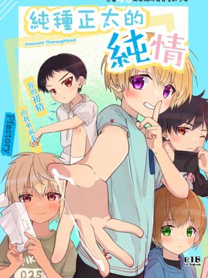 純種正太的純情