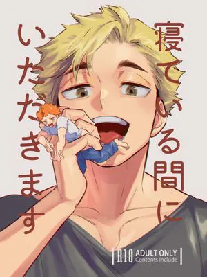 【侑日】寝ている間にいただきます (ハイキュー!!)|【侑日】趁你睡着时开动了