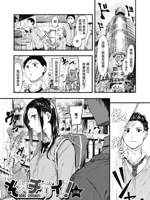 それチガイ!|那不对!