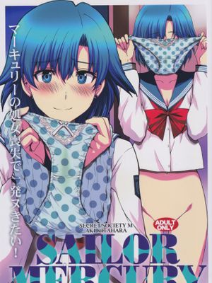 (C97)マーキュリーの処女喪失で一発ヌきたい！ (美少女戦士セーラームーン)