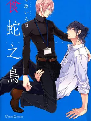 食蛇之鸟