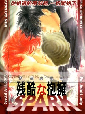 残酷な抱擁 spark （灌籃高手）