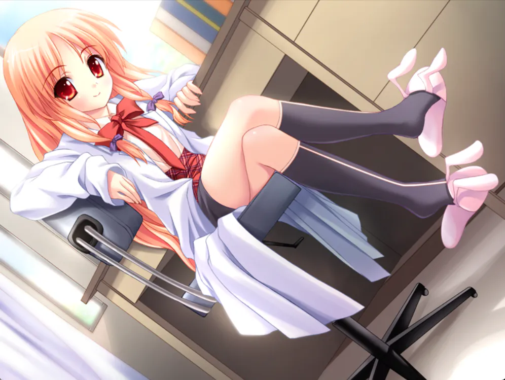 猫猫病院 / 2026S43S3