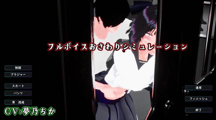 【3D/生肉/PC】おさわりメトロがぐ～るぐる おとなしJK編