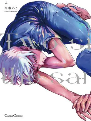 Two sides of the same coin（一枚硬币的两面）上