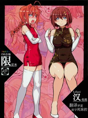 (C95)C95会場限定本 (魔法少女リリカルなのは)