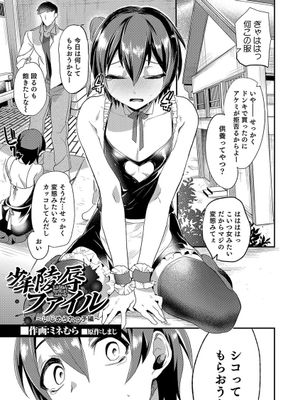 少年陵辱ファイル ～いじめられっ子編～