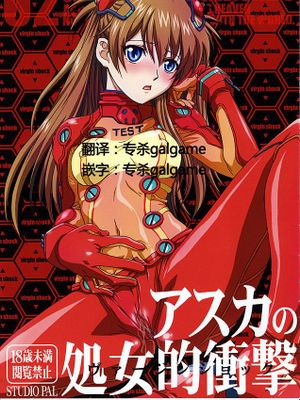 (C78) (STUDIO PAL (南野琴)] アスカの処女的衝撃 (新世紀エヴァンゲリオン) [只为求本汉化]