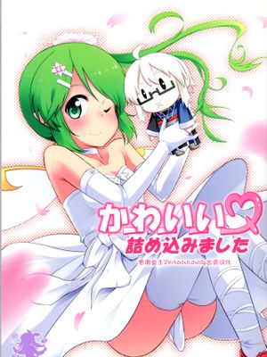 (C85)  かーわーいーいー詰め込みました (東方Project) [中国翻訳]