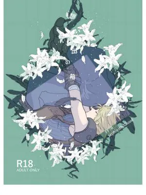 想い出の箱｜萨克★回忆的箱子（最终幻想7）