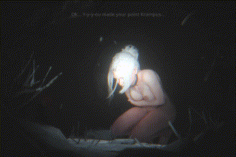 [3D]黎明杀机-赛布尔-兽交 [172.3MB]