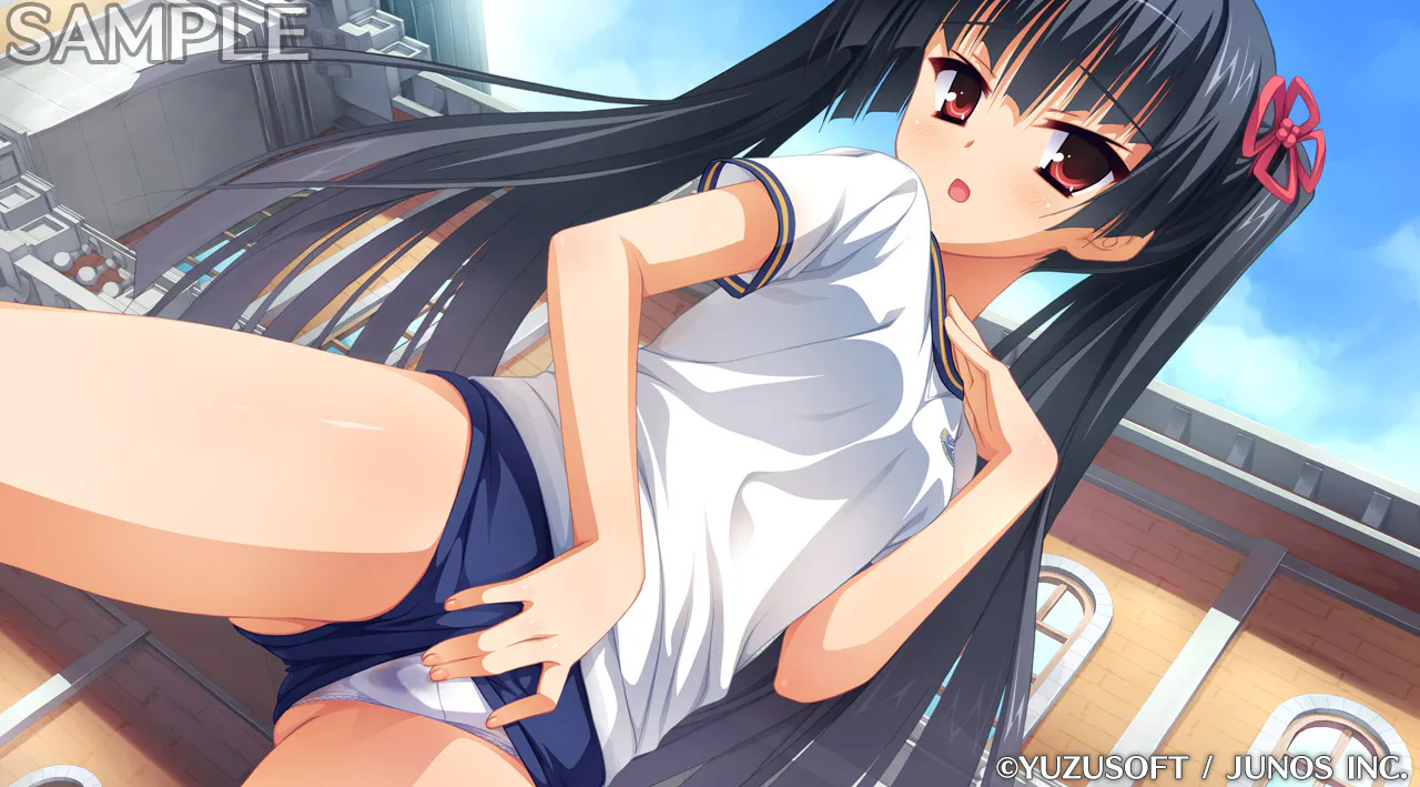 [双端/2D/ADV/神作/中文]贵族的工作 NOBLE☆WORKS[PC3.8GB+安卓940MB/迅雷转百度/迅雷/UC]