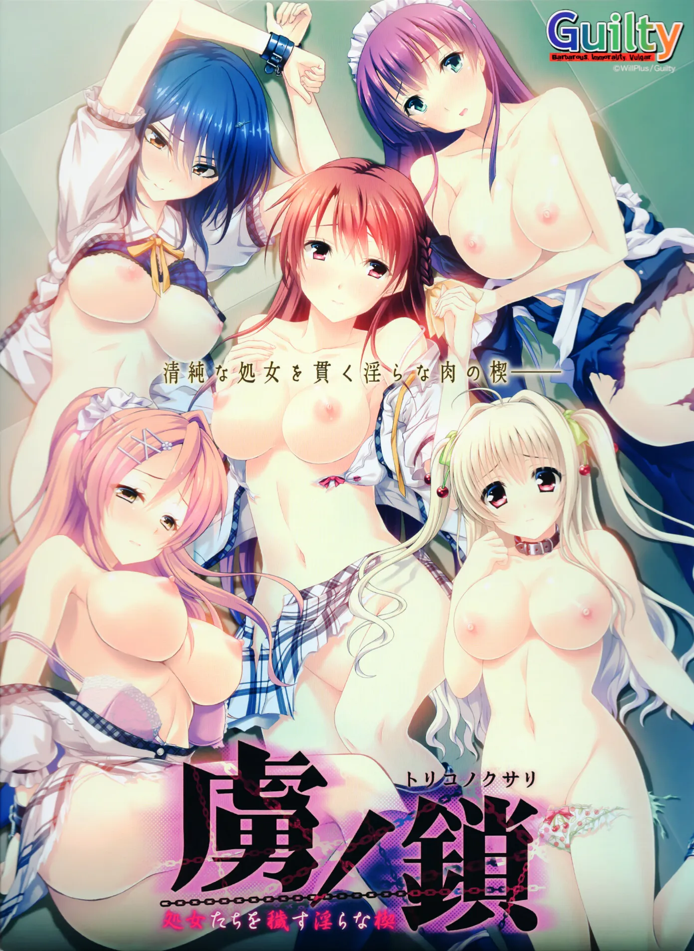 虜ノ鎖 ～処女たちを穢す淫らな楔～