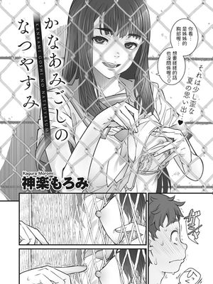 かなあみごしのなつやすみ (金網のむこうがわ)