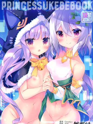 (C97)PRINCESSUKEBEBOOK (プリンセスコネクト!ReDive) [中国翻訳]