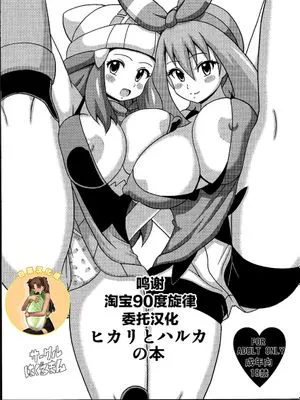 (サンクリ65)  ヒカリとハルカの本 (ポケットモンスター) [中国翻訳]
