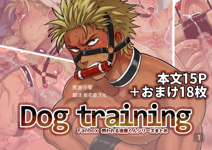 DOG TRAINING
