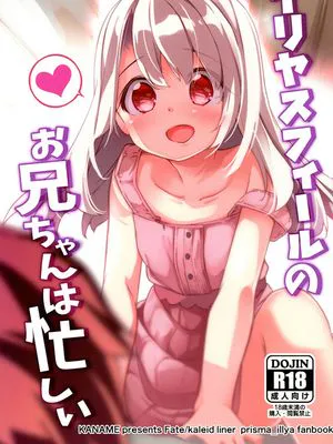 (C97) イリヤスフィールのお兄ちゃんは忙しい (Fate/kaleid liner プリズマ☆イリヤ)