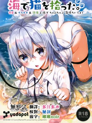 (C94)  海で猫を拾った。 [中国翻訳]