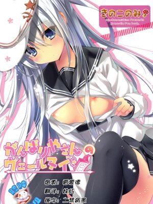 がんばりやさんヴェールヌイ