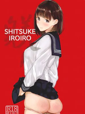 SHITSUKE IROIRO