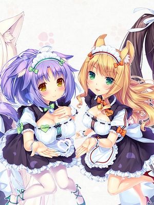 Neko Para vol.3 CG