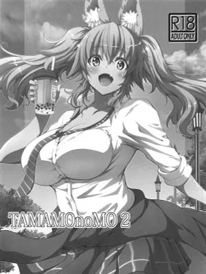 (C96)  TAMAMOnoMO2 (Fate/Grand Order)