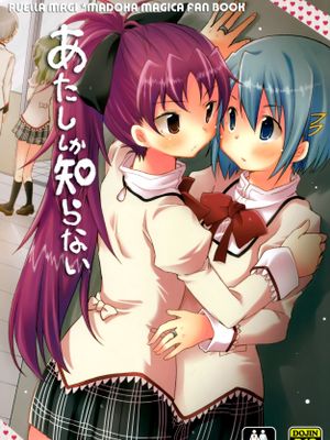 (C86) [Energia (Pikachi)] Atashi shika Shiranai (Puella Magi Madoka Magica)[脸肿汉化组]