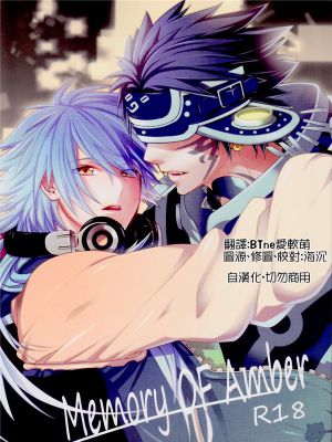 [DMMD]Memory of Amber[个人汉化]