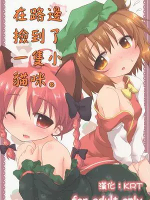 (例大祭9) [がいなもん (夏の紅茶)] 道端で猫を拾いました。 (東方Project)