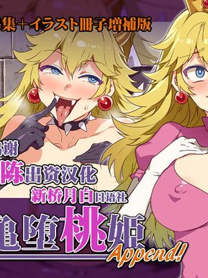 亀堕桃姫Append! (スーパーマリオブラザーズ) [中国翻訳]