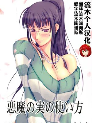 (C80)  悪魔の実の使い方 (ワンピース) [中国翻訳]