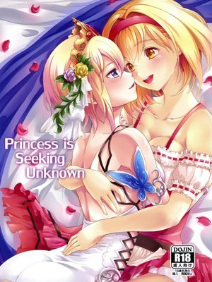 Princess is Seeking Unknown (グランブルーファンタジー)