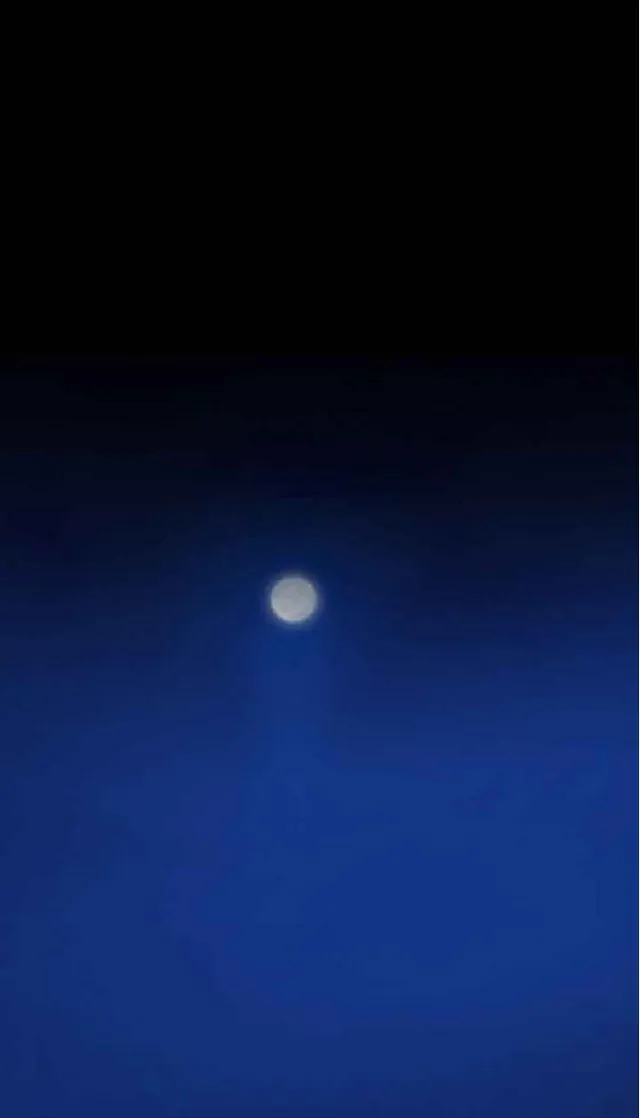 失蹤(填坑)【完结】
