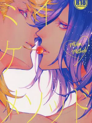 (閃華の刻22)  ミイケメソッド (刀剣乱舞)