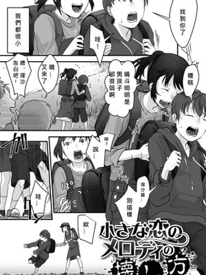 小さな恋のメロディの壊し方