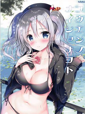 (サンクリ2017 Winter) こうえんのナイショなこと (艦隊これくしょん -艦これ-)